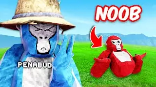 Intenté ayudar a jugadores nuevos de Gorilla Tag… gran error 💀