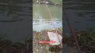 #mancingikanliar
