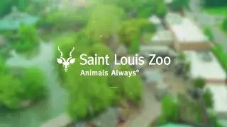 Get a Zoo Perspective TV Commercial 2023 (10 second)