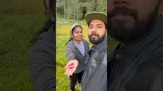 അപ്പോ നാട്ടിൽ കാണാം 🥰#mallusinfinland #familyvlog #travel