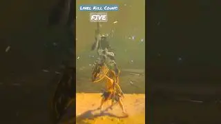 The BEST Combat Style for killing LYNELS! (BOTW) #gaming #botw #zelda