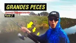 IMPRESIONANTE Pesca de Grandes CARPAS parte 2