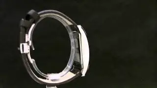 Мужские наручные часы RODANIA - CHIC ALTRO S/S