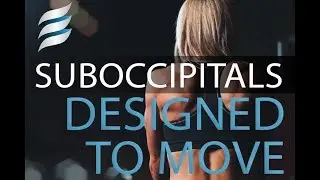 Designed to Move | Suboccipitals & Forward Head Posture