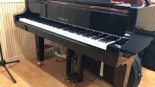 VirtuosoNet(AI Pianist) plays Chopin Fantasie Impromptu op. 66