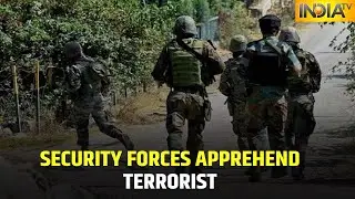 Security Forces Arrest Terrorist From Shopian