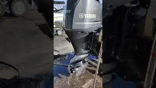 Yamaha F300