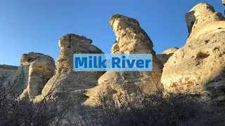 Milk River