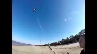 Spleene STARTER tests, unhooked...................... Video www.Element5.pro