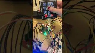 226 Final Project Demo