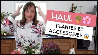 Haul Plantes🪴🌸 et accessoires | J'ai fait le plein de belles choses | Le petit jardin de Bob