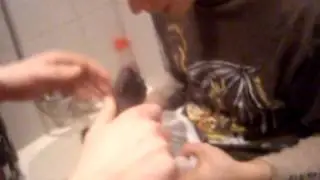 mana pirmā grebene