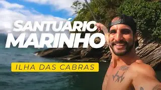 O QUE FAZER NA ILHA DAS CABRAS - CAIAQUE / MERGULHO / SUP - ILHABELA (SP)