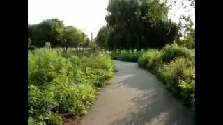 Chicago Parks - Winnemac Prairie Planting