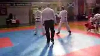 Fibo in action