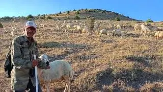 Çınarlı Köyü Hafik Sivas Çınarlı dan güzel görüntüler
