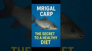 Mrigal Carp: The Secret to a Healthy Diet! #MrigalCarp #HealthyEating #Nutrition #FishBenefits