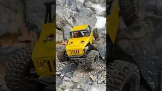 Trail run with the trx4m ripper #traxxas #trx4m #scx24 #furitek #reefsrc #meus #trx4 #rccar