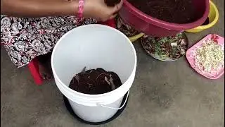 Project Waste Warrior | Composting in Migrant Labour Settlements