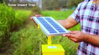 SOLAR INSECT TRAP | SOLAR BASKET |  #SOLARINSECTTRAP
