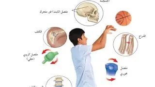 مراجعة علوم للصف الثاني المتوسط/الفصل الدراسي الثاني/الجزء ٢