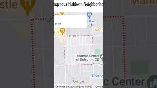 Top 5 most dangerous areas in #detroit