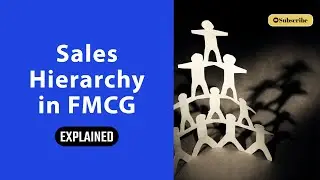 Structure of Sales Organisation | Sales Hierarchy | FMCG