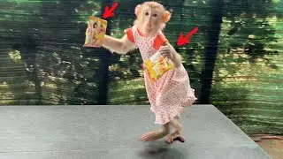 Lovely Doni Quickly H0ldinq Two Fruit Jelly Running To Her Mom Open