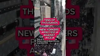 Thousands Rally in NYC Against ICE & Trump After Fatal Shooting of Renee Good