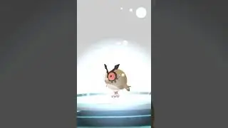 [Pokemon GO] Evolving XXS Hoothoot into XXS Noctowl! #pokemongo #xxspokemon #noctowl #hoothoot