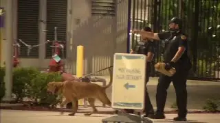 Police search ongoing after suspect escapes police custody at Jackson Memorial Hospital