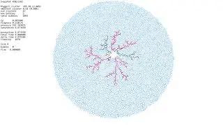 Viscous fingering, network model, test