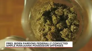 Hampden D.A., defense attorney address presidential pardon on simple marijuana possession offense...
