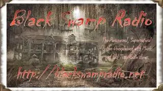 Swamp Gas Tramp interviews Robert Bruce