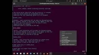 Proxychains  on UBUNTU