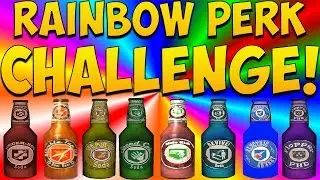 RAINBOW PERK CHALLENGE! (Call of Duty Black Ops 2 Zombies: Origins 