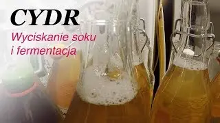 Cydr - wyciskanie soku i fermentacja