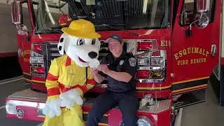 It's Fire Prevention Week! Have you ever wondered what a smoke alarm sounds like and what to do?