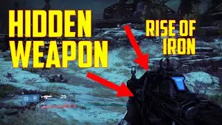 SECRET HIDDEN WEAPON IN DESTINY!!!