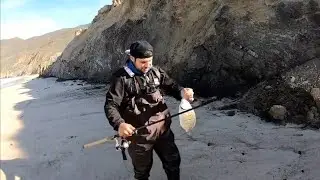 Surf Fishing To Make Barred Surf Perch Jerky | Catch Clean Cook