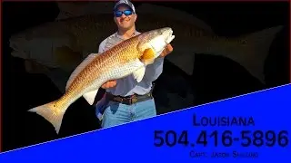#1 Top 10 New Orleans Fishing Charters in Louisiana For Redfish and Trout