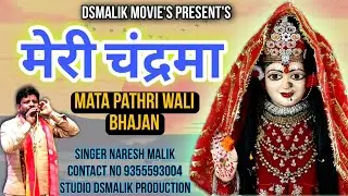 मेरी चंदर मां || Pathri wali Mata Bhajan || Naresh Malik 9355593004 || DSMalik Movies
