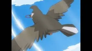 Pokemon: Staravia vs Honchkrow part 2