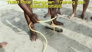 TNEB Field Assistant / Gangman Katta  practice