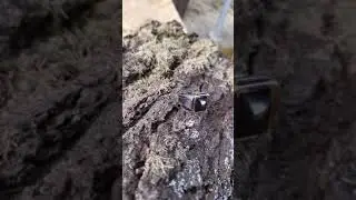 Product video new Sterling silver ring with tiger eye mens jewellery
