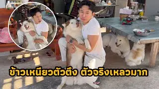 ดาราต้อนรับแขกดีมาก กอดได้ หอมได้ เลียได้