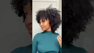 Big Chop Natural Hair Update