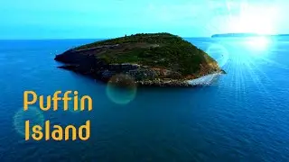 Puffin Island Anglesey by Drone - Cinematic Aerial View - North Wales in 4K