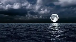 Ocean Bliss by Eden Skywalker ~ Relaxing Music for sleep, study, stress, meditation, relaxation
