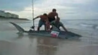 3rd Shorebound Shark Tourney July 1 to 14 Catch and Release